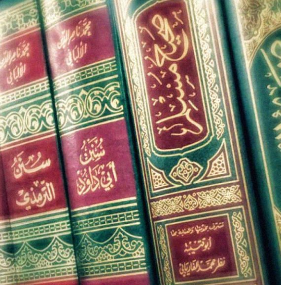 Hadith & Sunnah Studies at Abeer Online Quran Academy